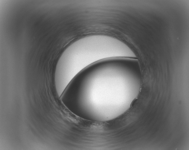 X0000081610076200701151131