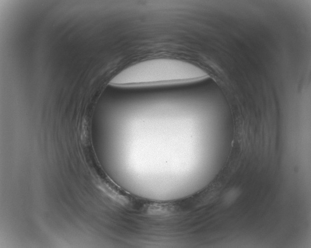 X0000081610077200701151131