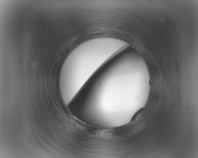 X0000081610078200701151131