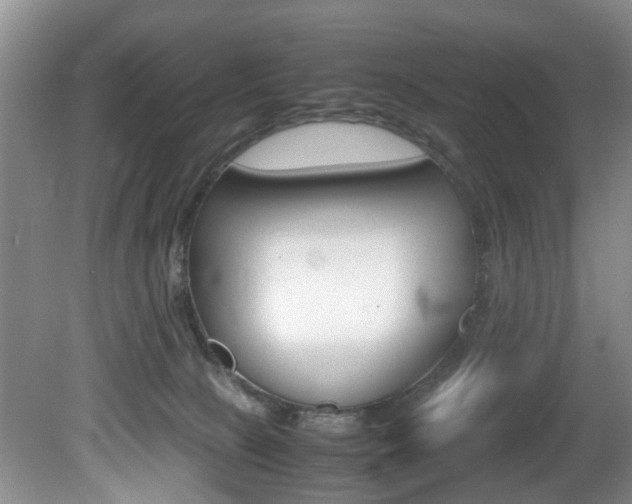 X0000081610081200701151131