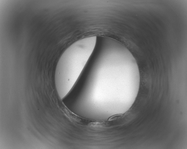 X0000081610082200701151131