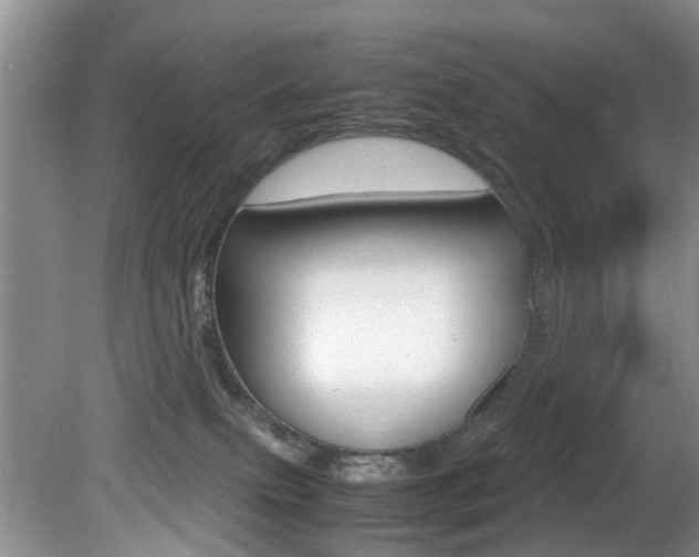 X0000081610087200701151131