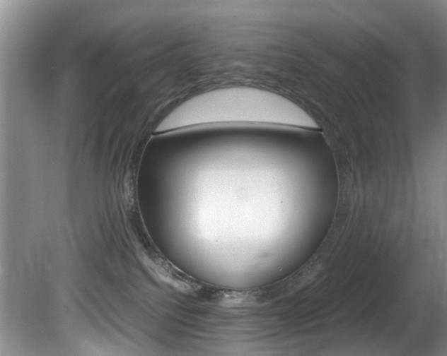 X0000081610088200701151131