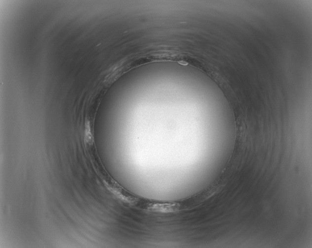 X0000081610089200701151131