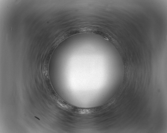 X0000081610091200701151131