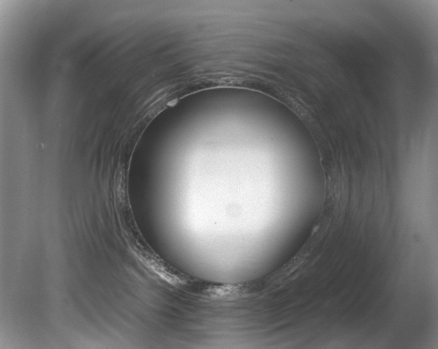 X0000081610092200701151131