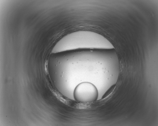 X0000081610094200701151131