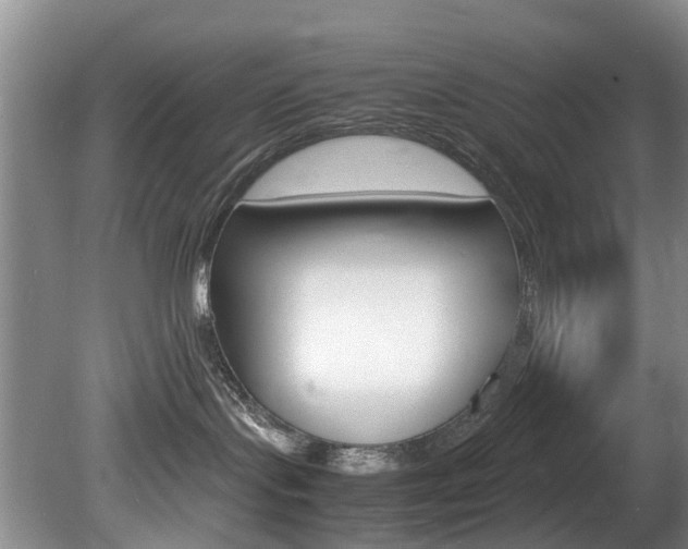 X0000081610095200701151131