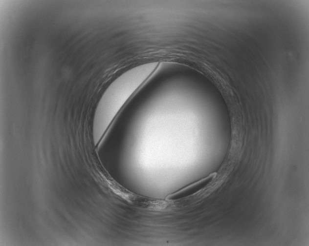 X0000081610096200701151131