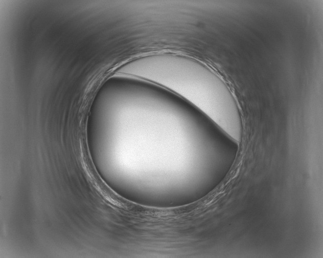 X0000081610097200701151131