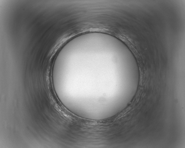 X0000081610098200701151131