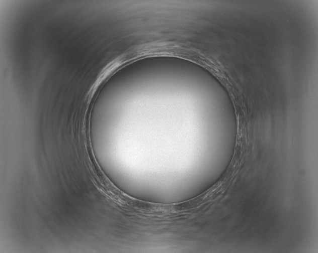 X0000081610099200701151131