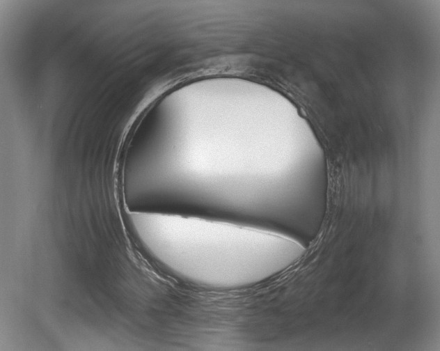 X0000081610100200701151130