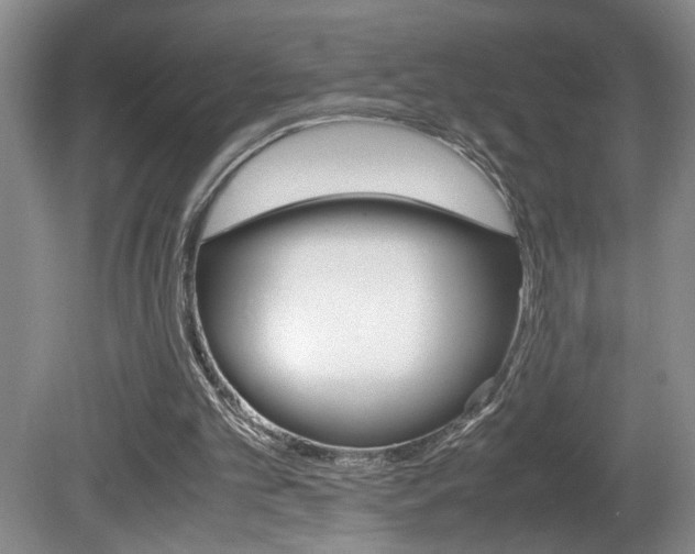 X0000081610101200701151130