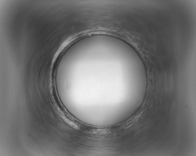 X0000081610102200701151130