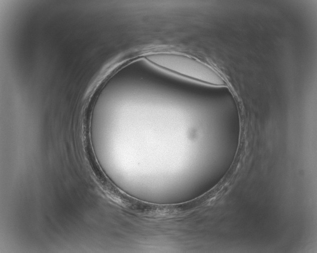 X0000081610103200701151130