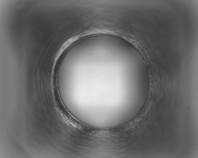 X0000081610104200701151130