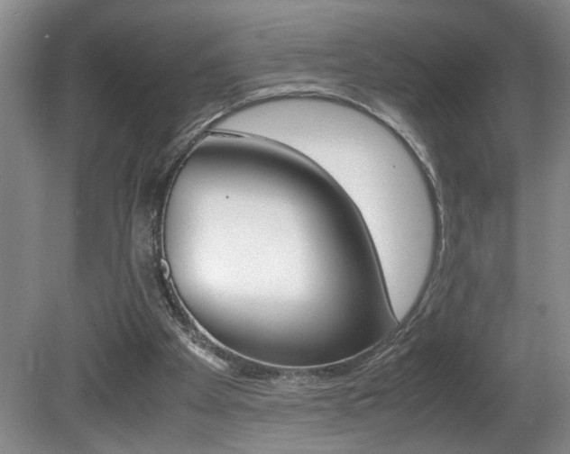 X0000081610105200701151130