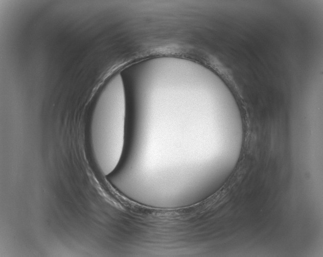 X0000081610106200701151130