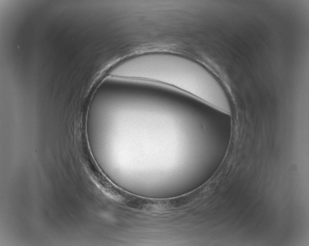 X0000081610107200701151130