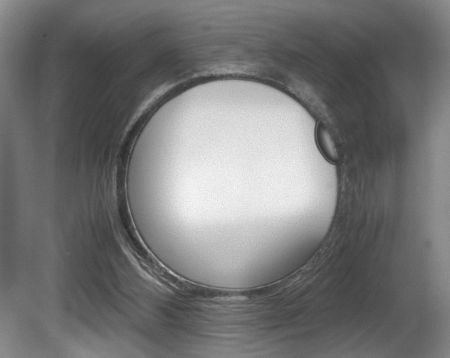 X0000081610108200701151130