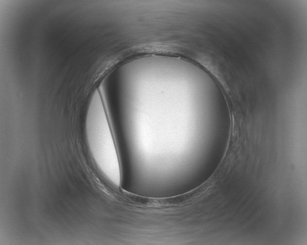 X0000081610109200701151130