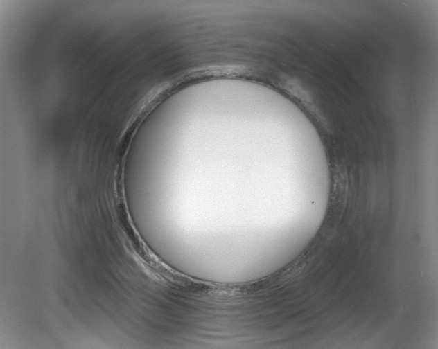 X0000081610110200701151130