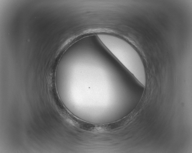 X0000081610111200701151130