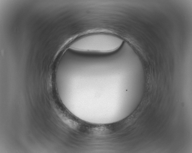 X0000081610112200701151130