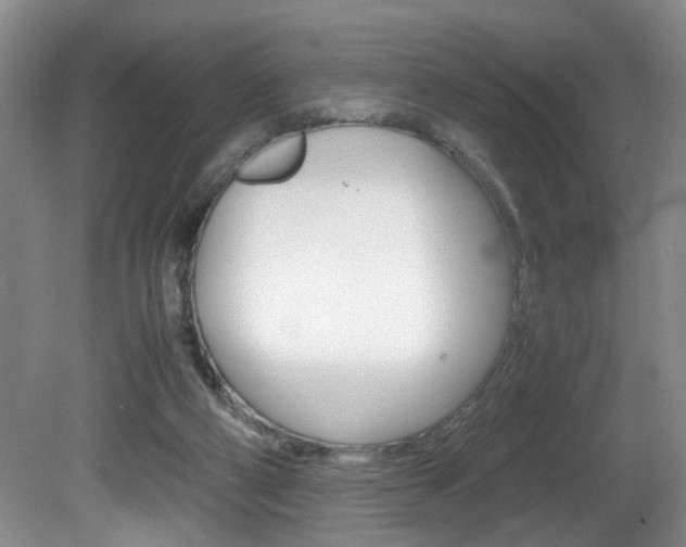 X0000081610114200701151130