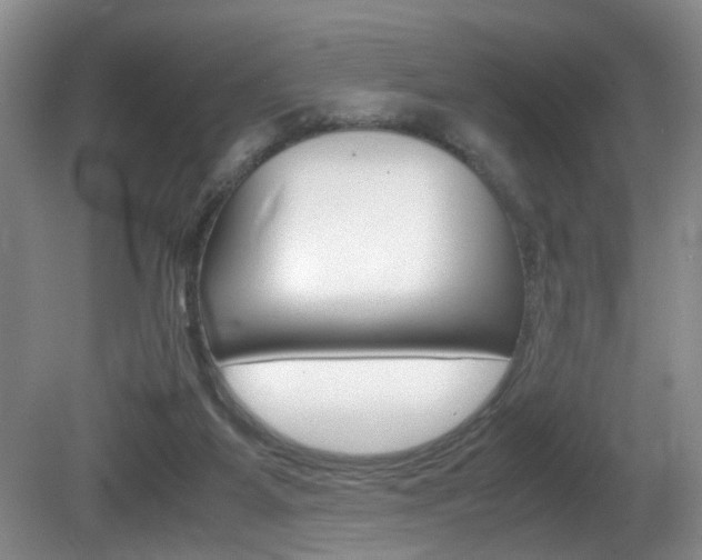 X0000081610115200701151130