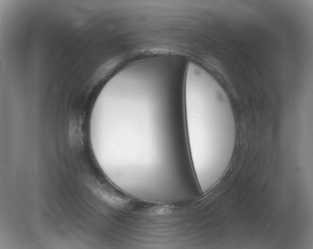 X0000081610116200701151130