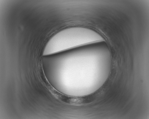 X0000081610117200701151130