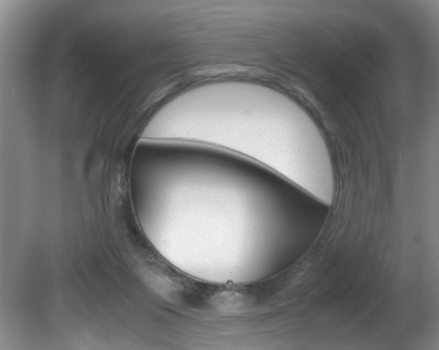 X0000081610119200701151130