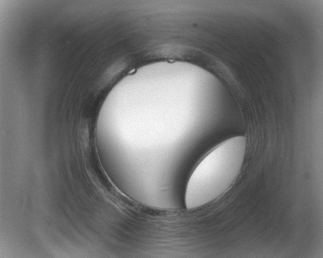 X0000081610120200701151130