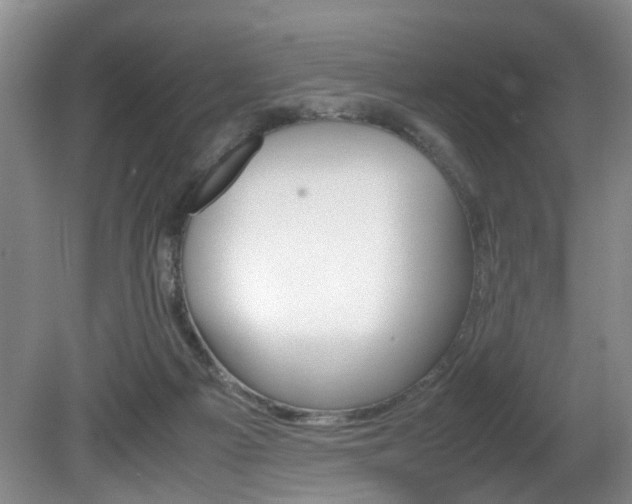 X0000081610121200701151130