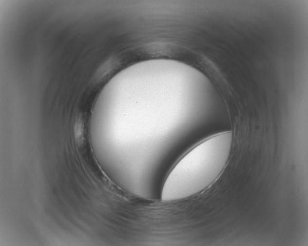 X0000081610124200701151130