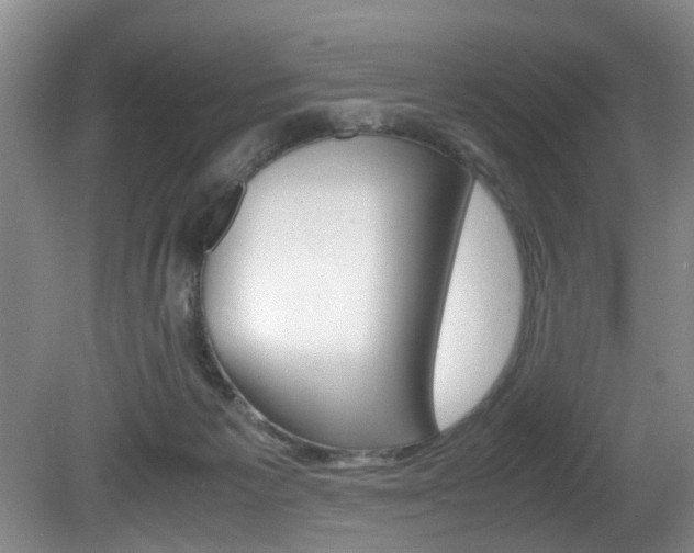 X0000081610125200701151130