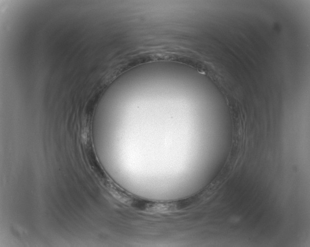 X0000081610129200701151130