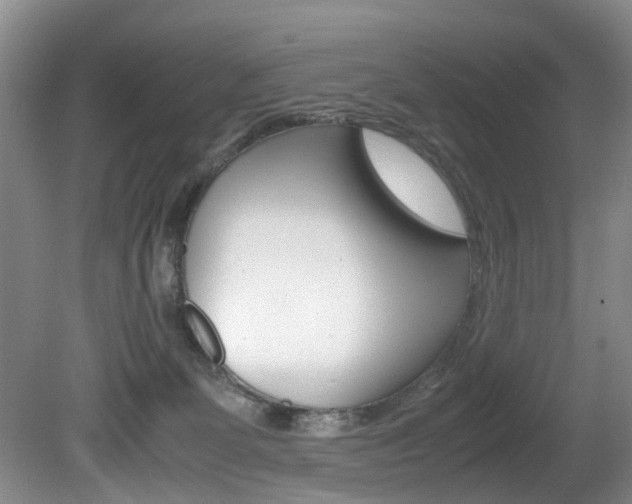 X0000081610131200701151130