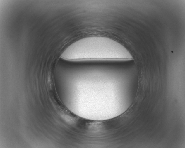 X0000081610132200701151130