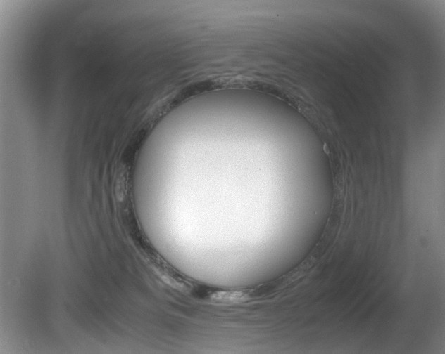 X0000081610133200701151130