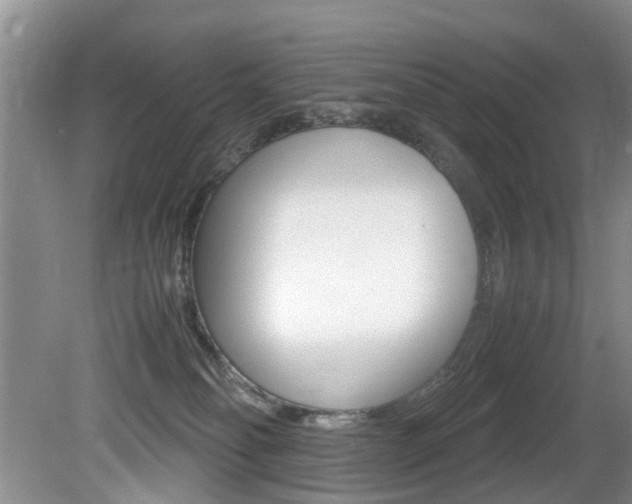 X0000081610134200701151130