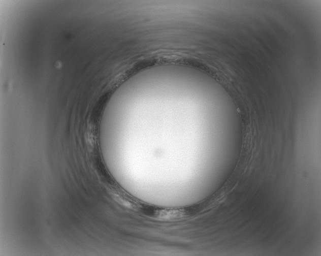 X0000081610135200701151130