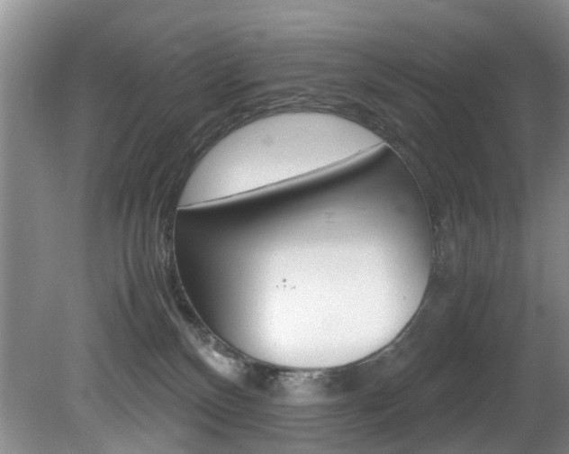 X0000081610136200701151130