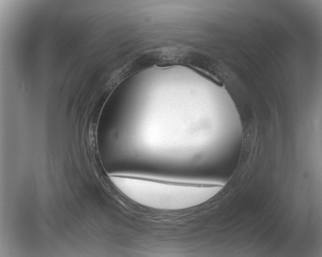 X0000081610137200701151130