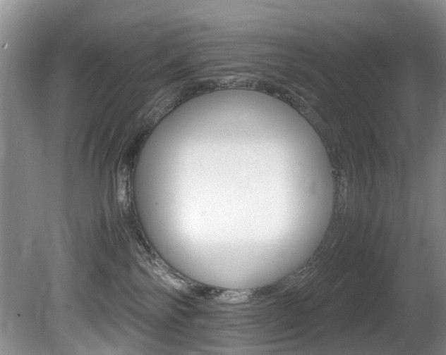 X0000081610138200701151130