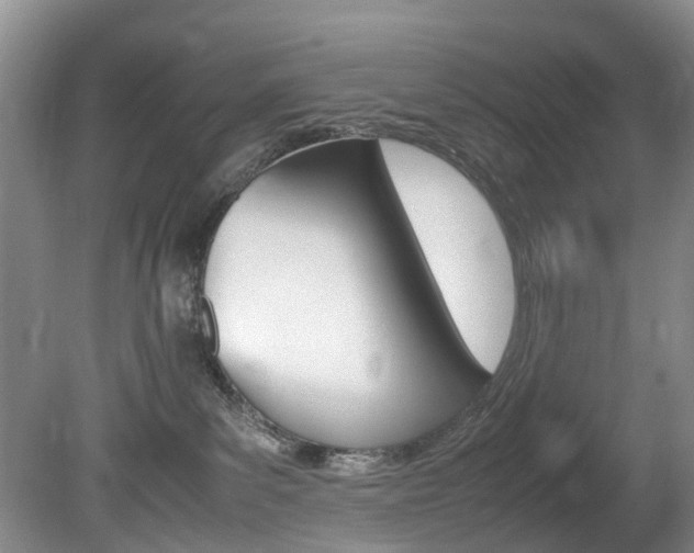 X0000081610139200701151130