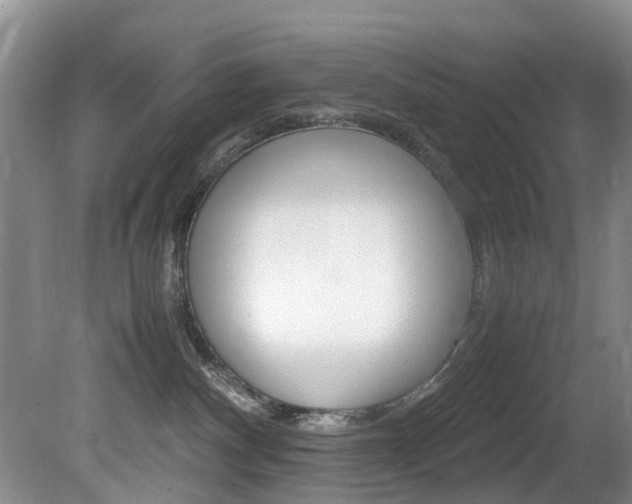 X0000081610140200701151130