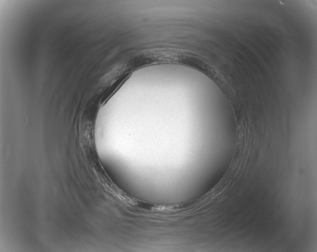 X0000081610141200701151130